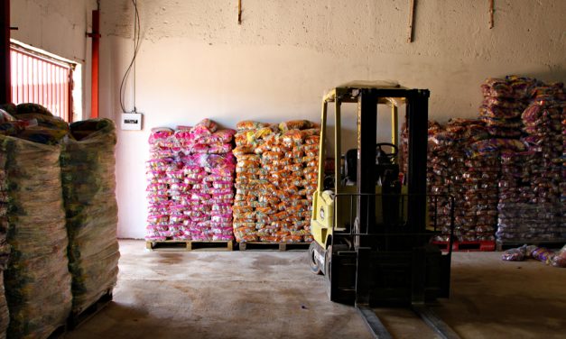 Supply Chain in Africa Success Factors (Part 2)